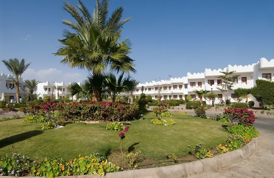 Swiss Inn Resort Dahab-1